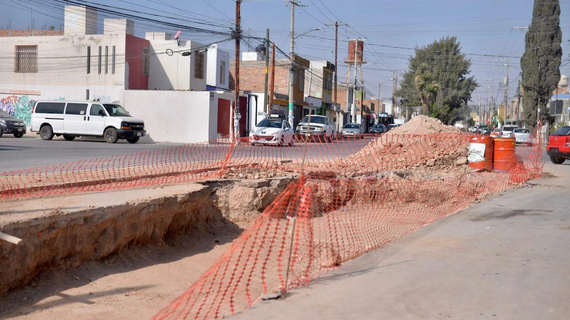 colector pluvial de cactus  (1)